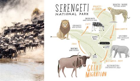 Serengeti National Park: Africa’s Most Iconic Wildlife Reserve