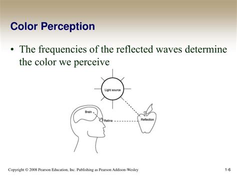 PPT - Color Perception PowerPoint Presentation, free download - ID:3989956