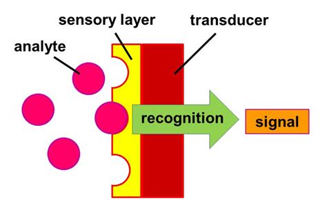 biosensor-千图网