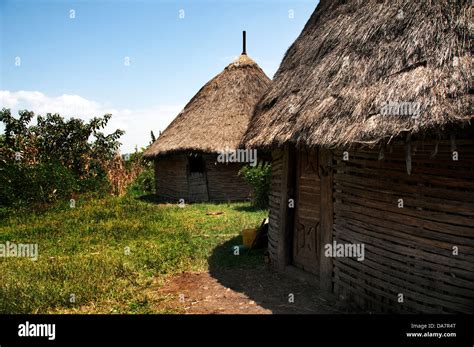 Gurage hi-res stock photography and images - Alamy