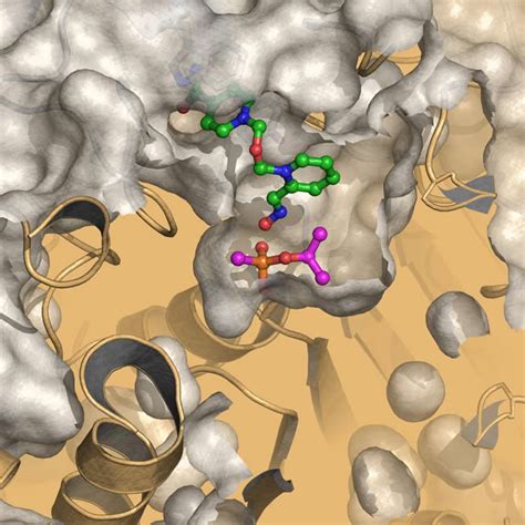 New Drug Against Nerve Agent Sarin in Sight - Neuroscience News