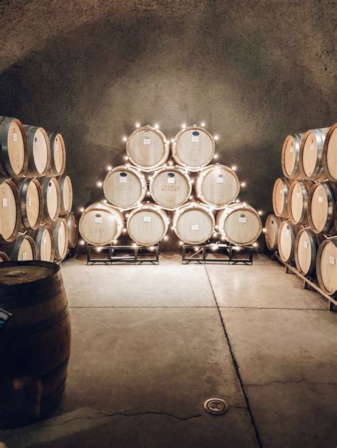 The Purpose of Aging Wine In Oak Barrels | Hayley's Cellar