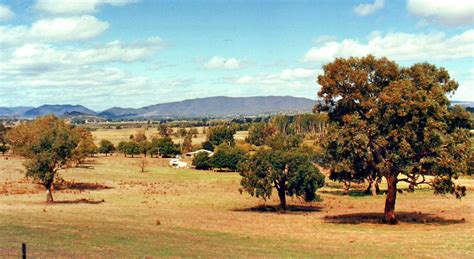 Tumut Valley NSW (1988) Farmland, Past, Vineyard, Valley, Memories, Holiday, Outdoor, Memoirs ...