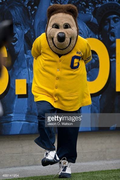 California (Golden Bears) | California golden bears, Golden bears, Mascot