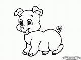 20  Free Printable Pig Coloring Pages EverFreeColoringcom sketch template