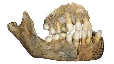 With new DNA analysis, the Neanderthal story gets even more complex ...