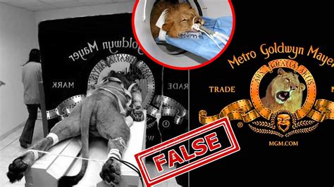 What Made the Lion Roar? FALSE: MGM Strapped Leo the Lion to a Table. - YouTube