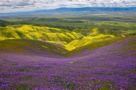 Carrizo Plain National Monument in San Luis Obispo County: The Complete Guide! - Roadtripping ...