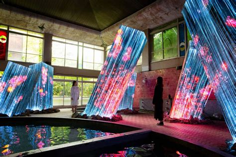 teamLab Exhibitions Around The World From Singapore to San Francisco | Tatler Asia
