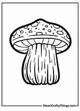 Mushroom Coloring Pages Free At Alexander Galindo Blog sketch template