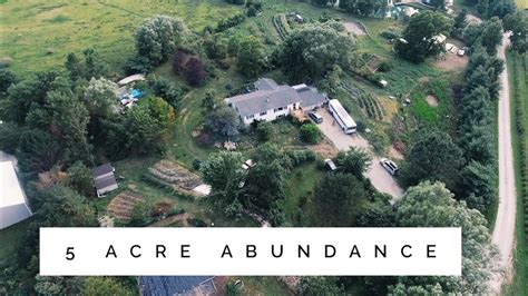 the 5 Acre Permaculture Homestead - Unbelievable Abundance - YouTube