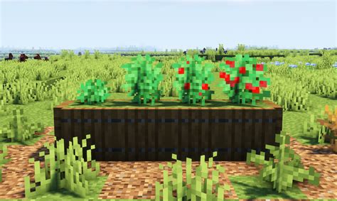 Biome Specific Sweet Berry Bushes Minecraft Texture Pack