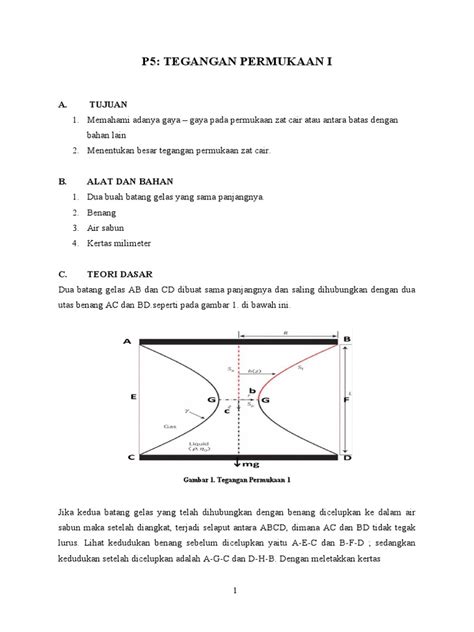 TEGANGAN PERMUKAAN DAN SELAPUT SABUN | PDF