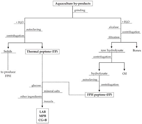 Five Kingdom Classification Flow Chart