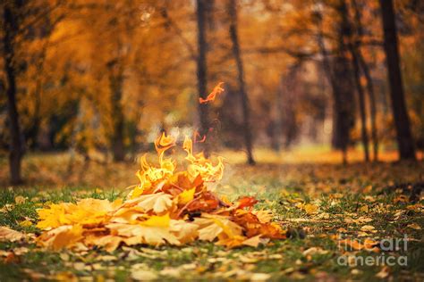 Leaves Burning Photograph by Aleksey Tugolukov