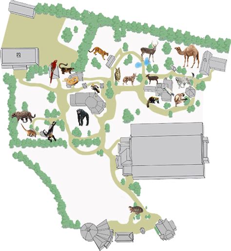 Chattanooga Zoo Map