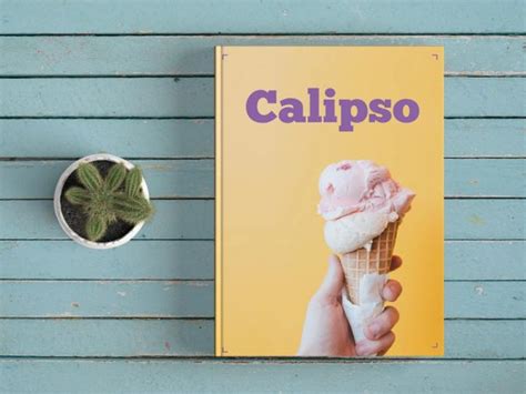 Book Template: Calipso – StockInDesign