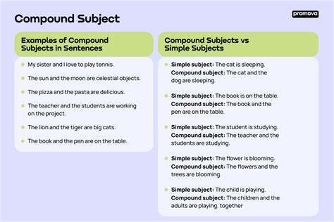 What is a Compound Subject: Definition & Examples | Promova