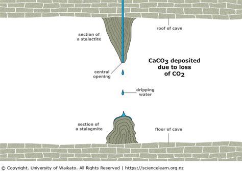 Stalagmites and stalactites — Science Learning Hub