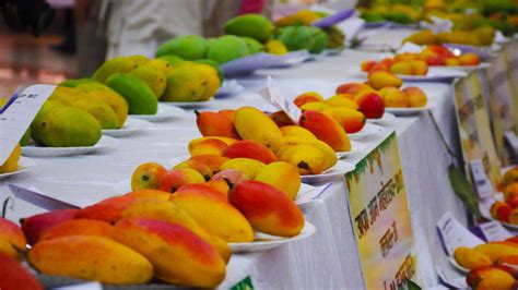 International Mango Festival 2024 - Dates, History, Major Attractions