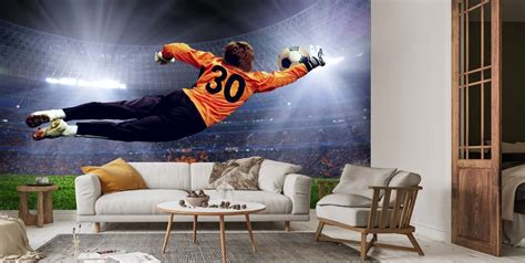 Goalkeeper Making a Serve Wall Mural | Wallsauce US