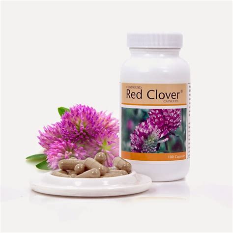 Red Clover Benefits for Menopause, bone & Heat health ~ BIO Organic Life