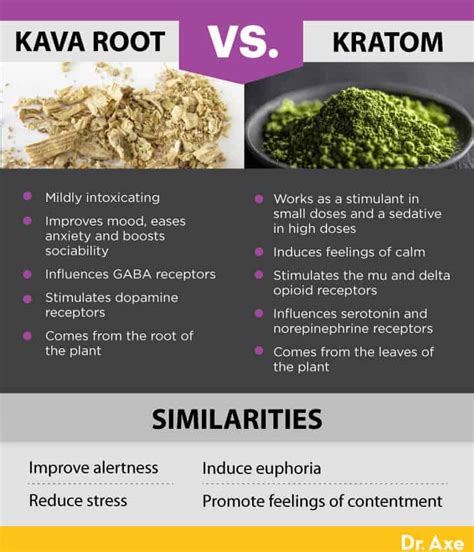 Kava Kava Benefits vs. Dangers, Including Dosage Concerns - Dr. Axe