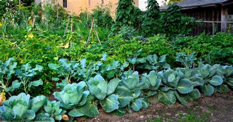 Explore the Historic Past at the Strawbery Banke Museum