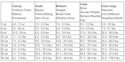 Toy Poodle Weight Chart Kg Standard Poodle Weight And Height - Anjing ...