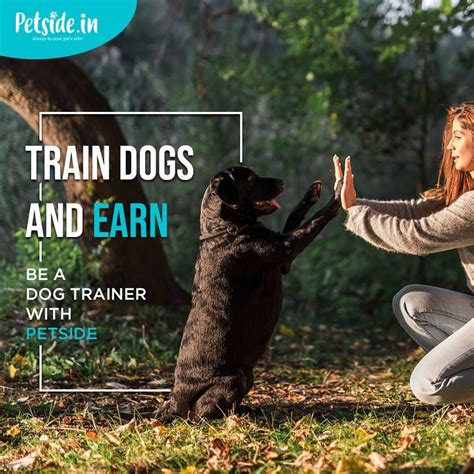 Pet Service | Service animal, Dog training, Dog trainer