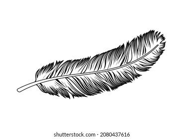 Feather Drawing Black And White Tattoo