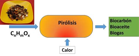 ¿Qué es la pirólisis de biomasa? - STEMGeeks