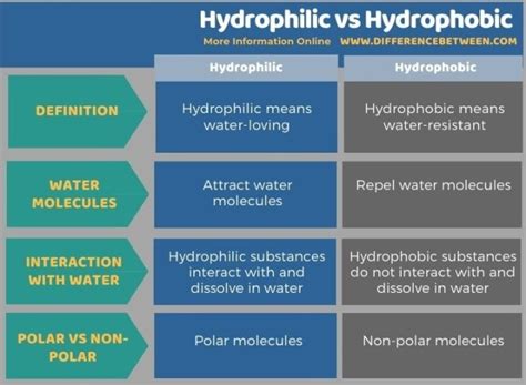 Hydrophilic Examples