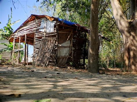 Premium Photo | Delve into the heart of indonesian culture with gubuk traditional bamboo houses ...