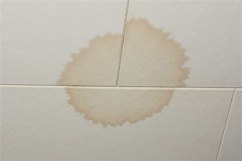 Fix-it-yourself: Ceiling water stains – Recette Magazine