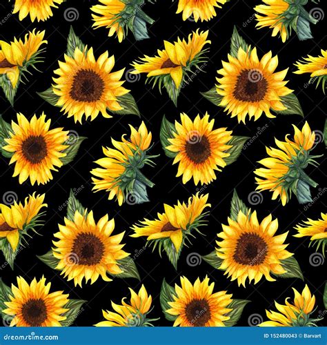 Details 100 sunflower black background - Abzlocal.mx