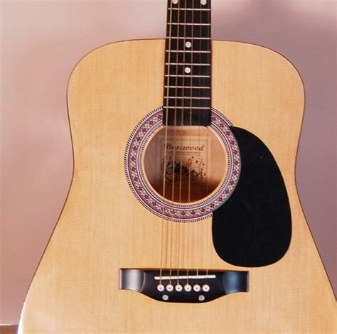 Burswood Elezan Acoustic Guitar | EBTH