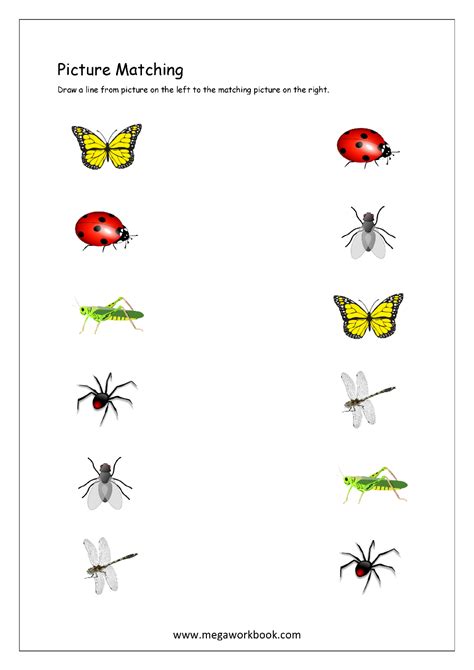 Picture Matching Worksheet - Insects Themed | Kids worksheets preschool, Kids worksheets ...