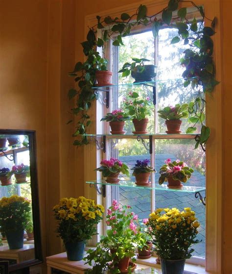 Classroom plants | Indoor window garden, Window plants, Garden windows