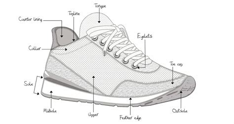 Anatomy of the Shoe