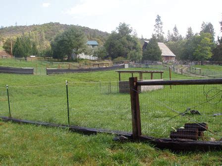 Pasture rotation: making hay while the sun shines : The Soay Sheep ...