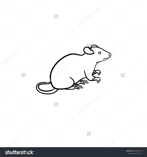 Lab Rat Hand Drawn Outline Doodle Stock Vector (Royalty Free) 1069363178 | Shutterstock