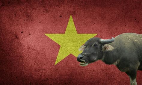 National Animal Of Vietnam (Helpful Content!) - Foreign Lingo