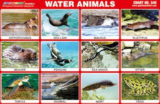 Spectrum Educational Charts: Chart 548 - Water Animals