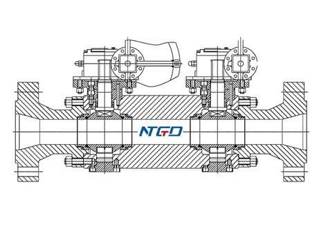 Everything You Need to Know about DBB Valve - NTGD valve