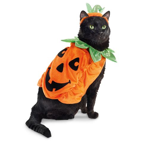 Funny Halloween Pet Spider Clothes Puppy Cat Horror Simulation Plush ...