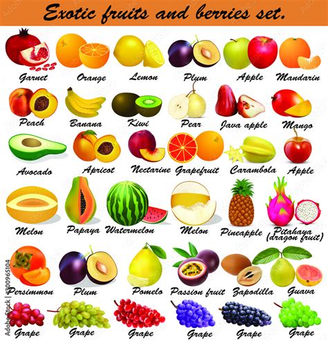 Rare Fruits Names