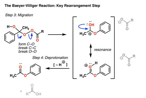 Reduction of Nitro Groups, The Baeyer-Villiger, and Protection of Amines