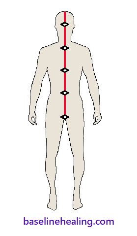 Midline Anatomy