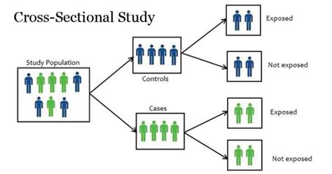 Cross-Sectional Study - Public Health